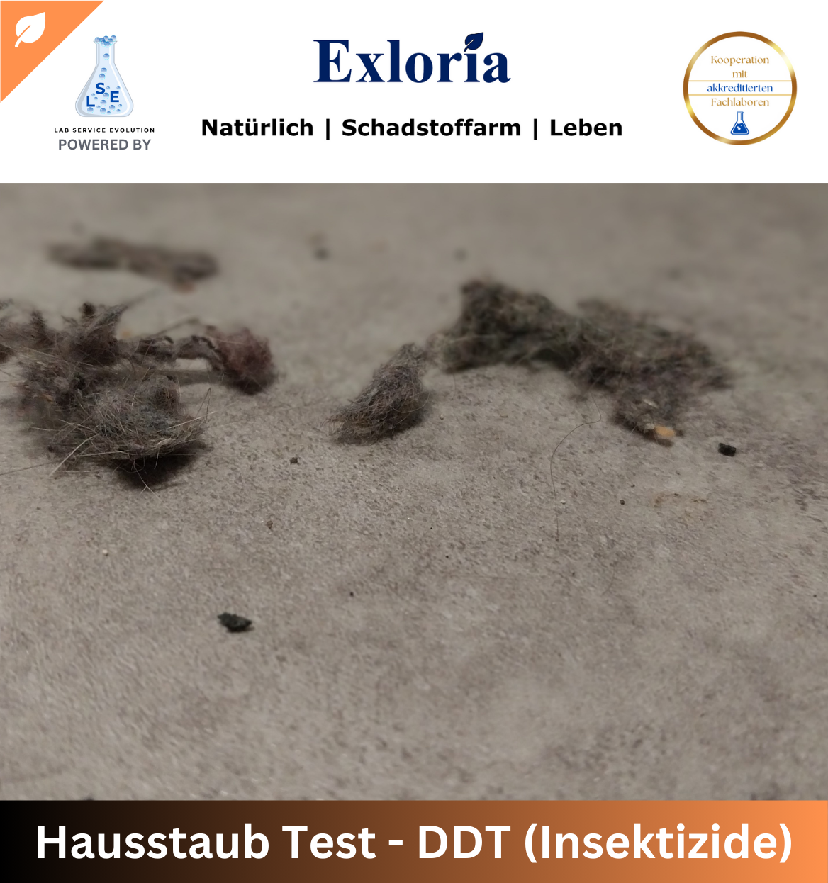 Hausstaub Test - DDT (Insektizide)
