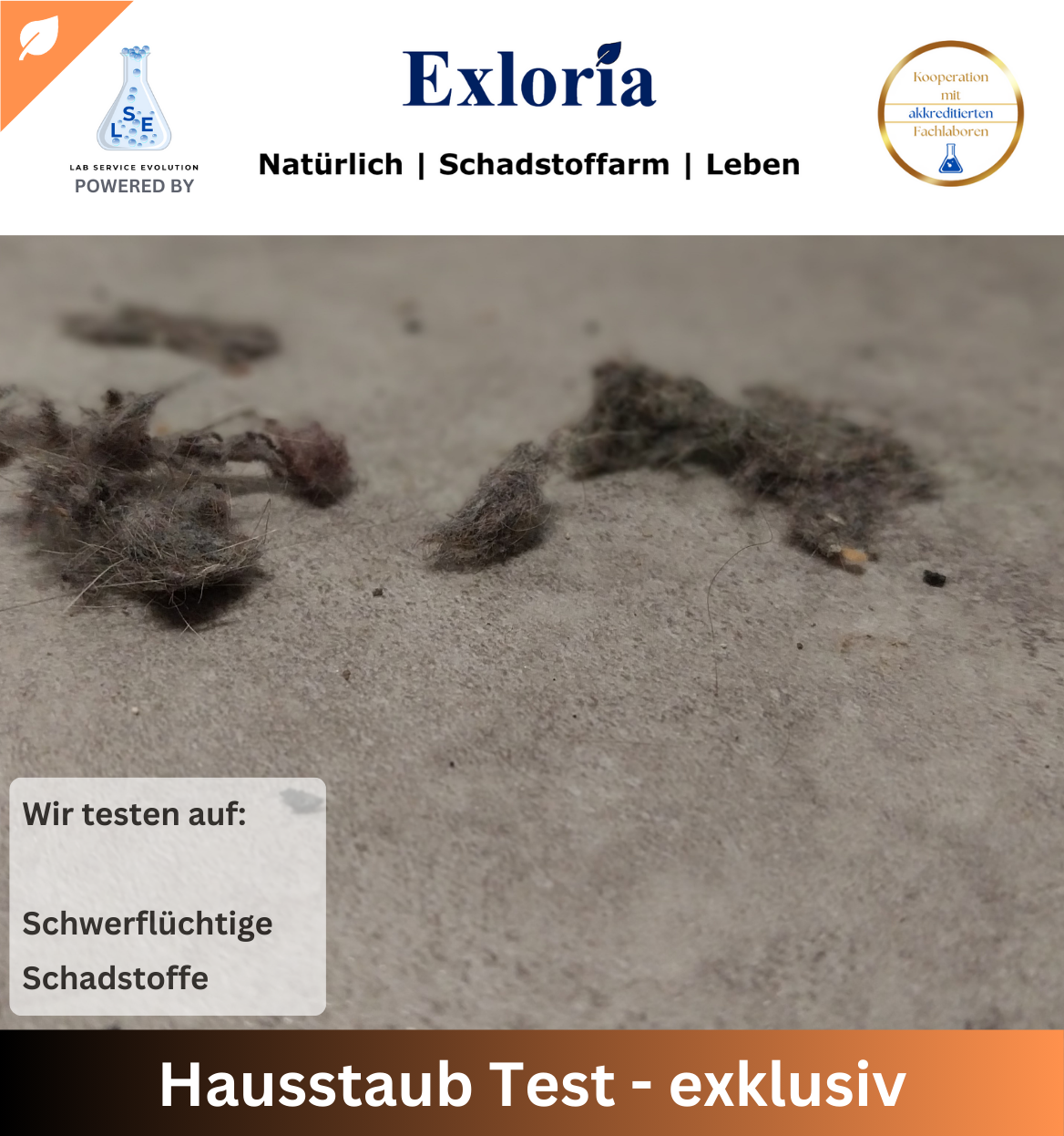 Hausstaub Test - exklusiv