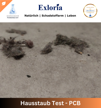 Hausstaub Test - PCB