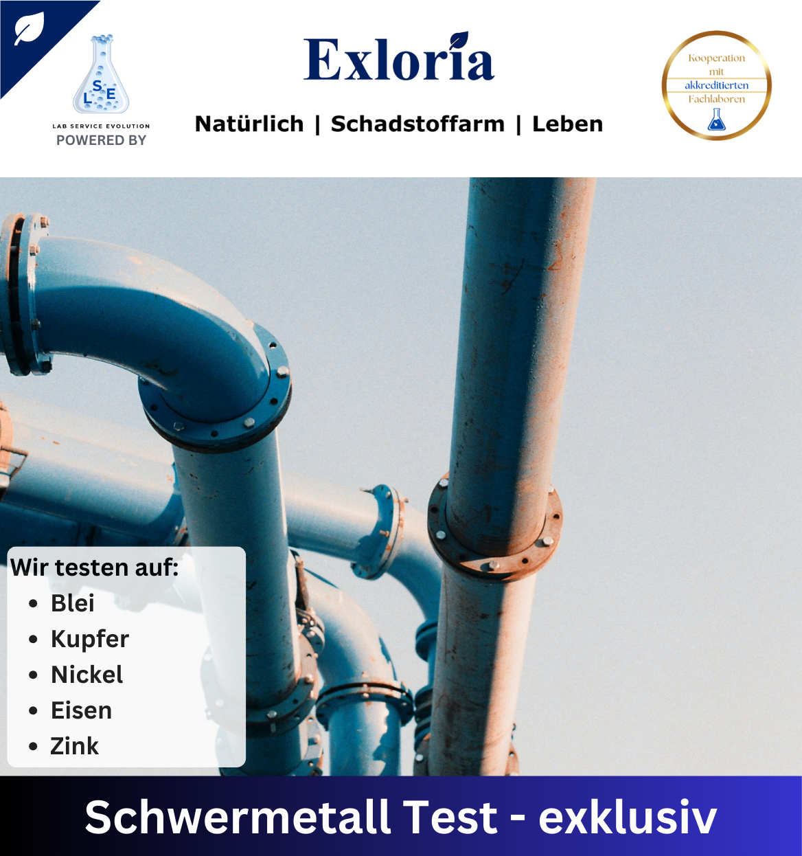 Schwermetall Test - Blei, Kupfer, Nickel, Eisen, Zink