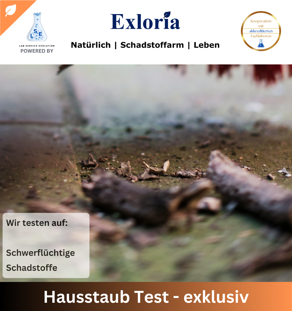 Hausstaub Test - exklusiv