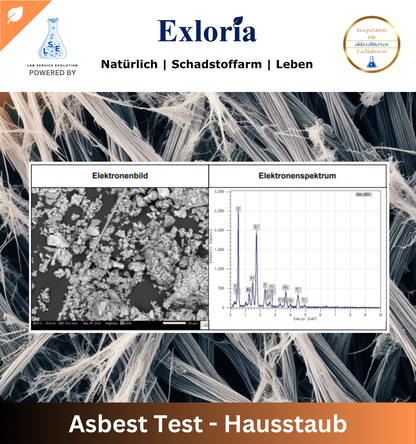 Asbest Test - Hausstaub