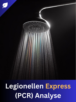 Legionellen Express (PCR) Analyse
