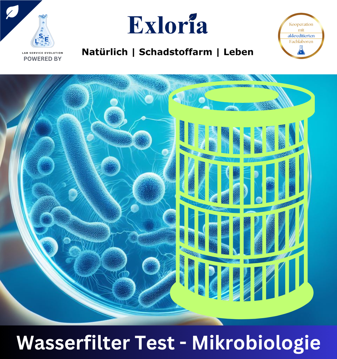 Wasserfilter Test - Mikrobiologie