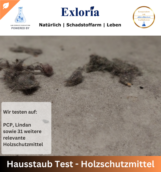 Hausstaub Test - Holzschutzmittel